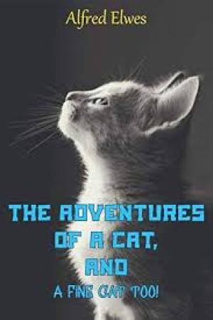 The Adventures of a Cat, and a Fine Cat Too!